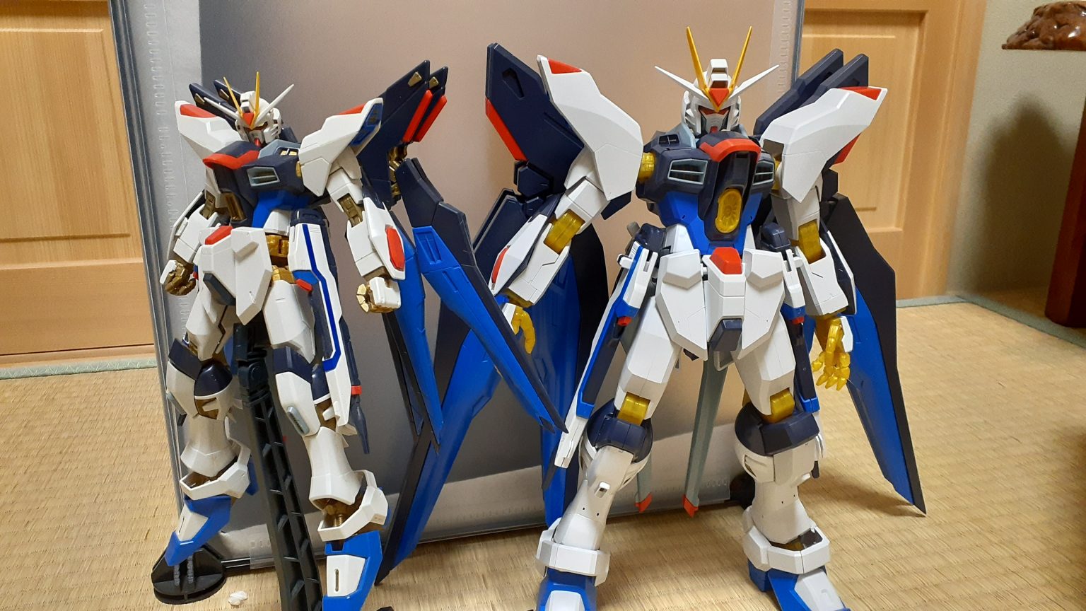 未組立品】1/60 ストライク フリーダム ガンダム （発光ギミック付 